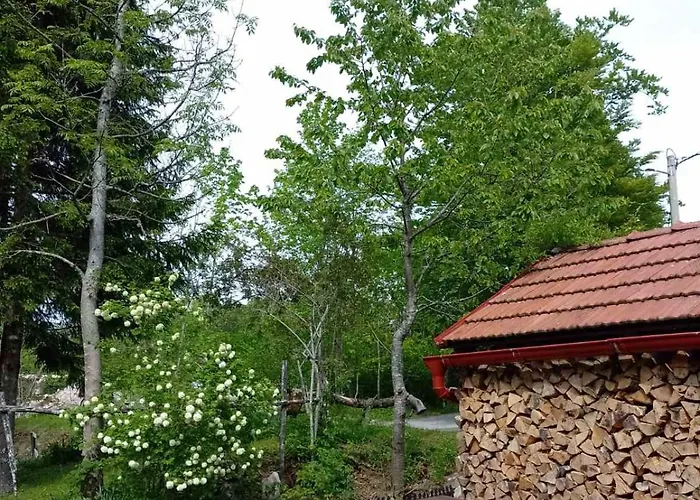 House Polane In The Forest, 45 Km From Seaside 펜션 델니체