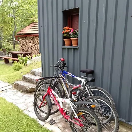 Dom wakacyjny House Polane In The Forest, 45 Km From Seaside
