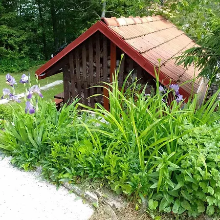 House Polane In The Forest, 45 Km From Seaside Vikendica