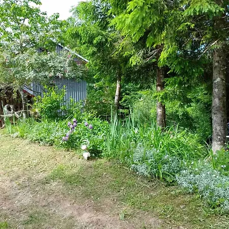 Dom wakacyjny House Polane In The Forest, 45 Km From Seaside *