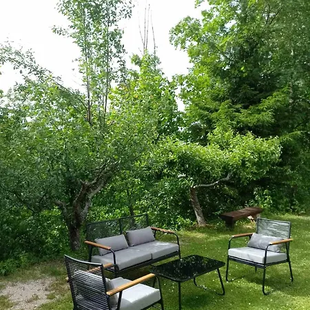 House Polane In The Forest, 45 Km From Seaside * Delnice