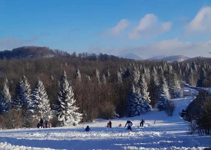 House Polane In The Forest, 45 Km From Seaside Vikendica Delnice