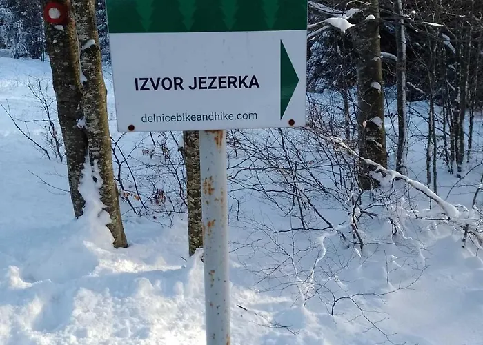 House Polane In The Forest, 45 Km From Seaside * Delnice