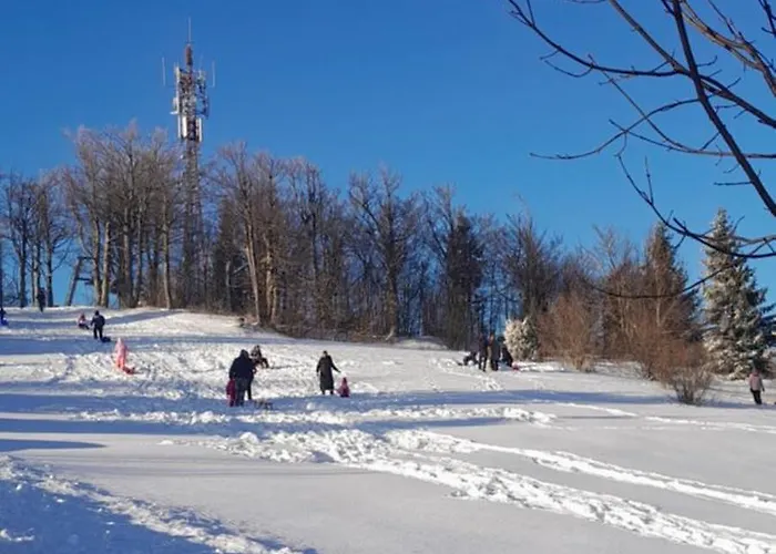 House Polane In The Forest, 45 Km From Seaside Vikendica