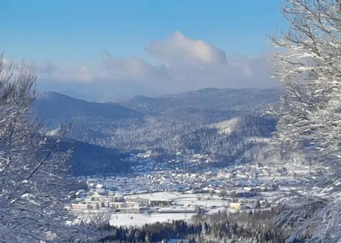 House Polane In The Forest, 45 Km From Seaside Delnice