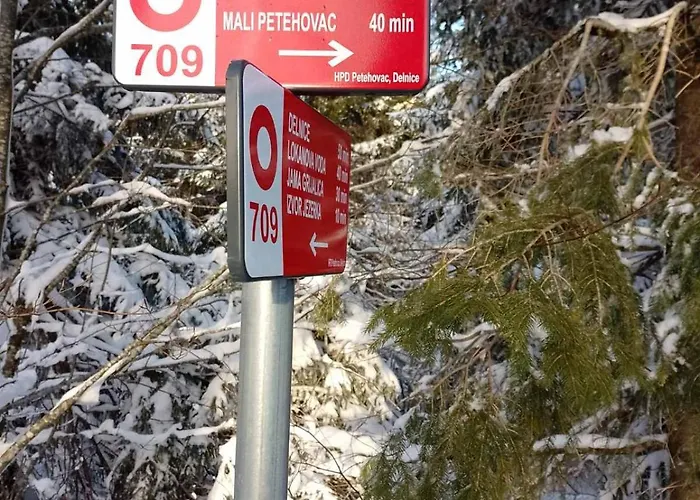 House Polane In The Forest, 45 Km From Seaside Vikendica Delnice