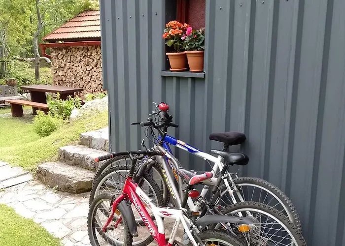Vikendica House Polane In The Forest, 45 Km From Seaside