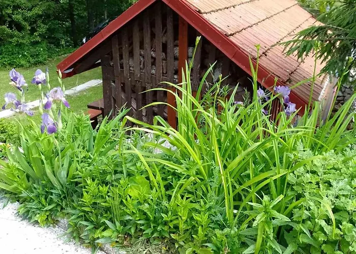 House Polane In The Forest, 45 Km From Seaside Vikendica
