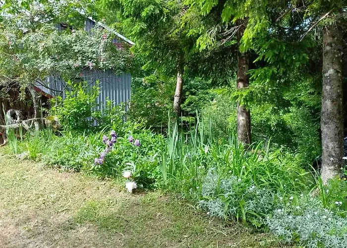 Vikendica House Polane In The Forest, 45 Km From Seaside *